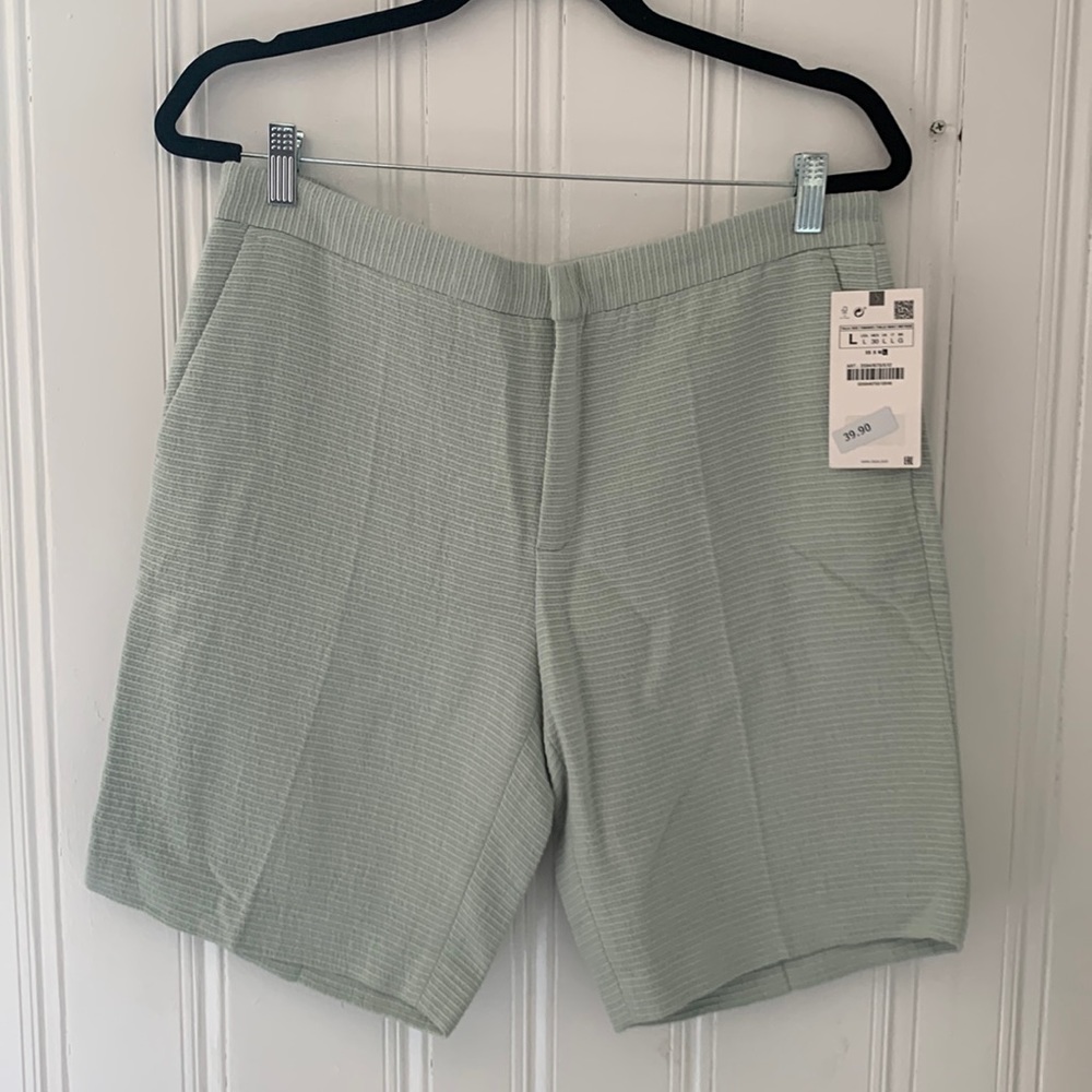 NWT Zara Light Green high waisted shorts